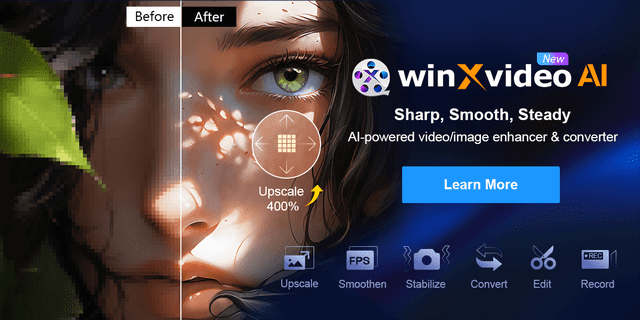 Winxvideo AI (1 Year License/3 PCs)