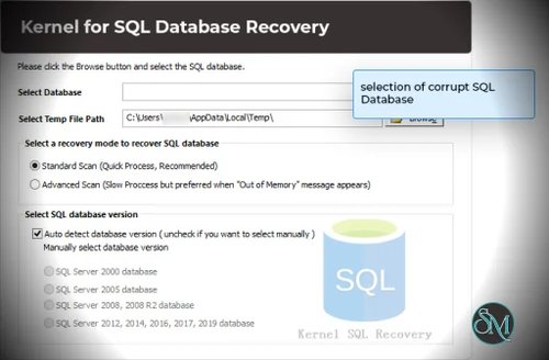 Kernel SQL Database Recovery 26.0 - Technician License - Discount 25% Off Kernel SQL Database Recovery 26.0 - Technician License - Discount 25% Off