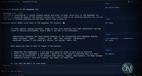 Codewhale v0.10.1 (Formerly DeepSeek TUI)