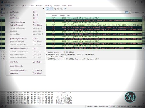 Wireshark 4.6.9 Wireshark 4.6.9