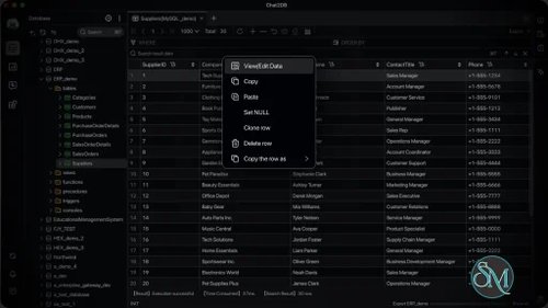 Chat2DB Community v5.3.8