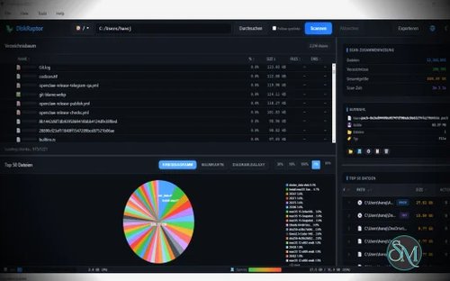 DiskRaptor v1.0.45 DiskRaptor v1.0.45