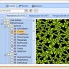 Thumbnail Plane9 2.5.1.3