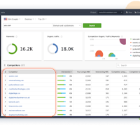 SEO PowerSuite R103.2 Professional - Yearly
