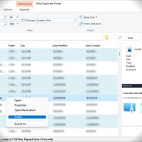Wise Duplicate Finder 2.1.9.71 (1 year subscription / 3 PCs) - Discount 20% OFF