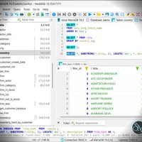 HeidiSQL v12.21