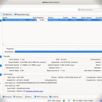 qBittorrent v5.2.4