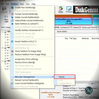 DiskGenius 6.2.0.1829 Professional Edition (Lifetime - 1 PC) - Discount 20% Off