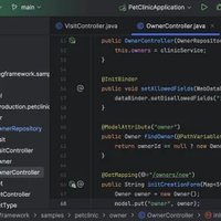 IntelliJ IDEA 2026.2.2