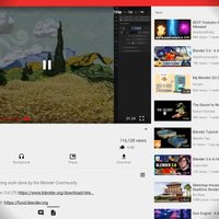 NewPipe v0.29.1