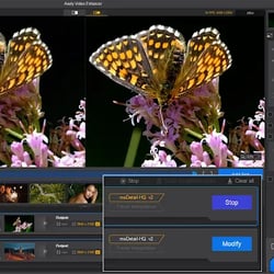 Thumbnail Aiarty Video Enhancer V3.7 (Lifetime - 3 PCs) - Discount 20% OFF