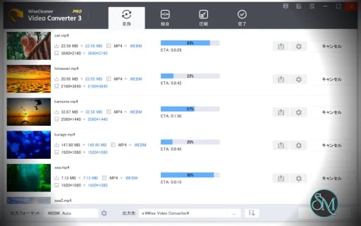Wise Video Converter Pro 3.1.4.269 (1 year subscription / 3PCs) - Discount 40% OFF