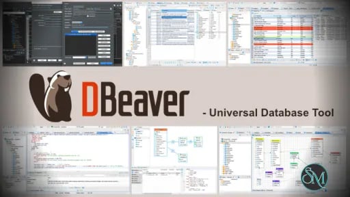 DBeaver 25.3.4 Community Edition